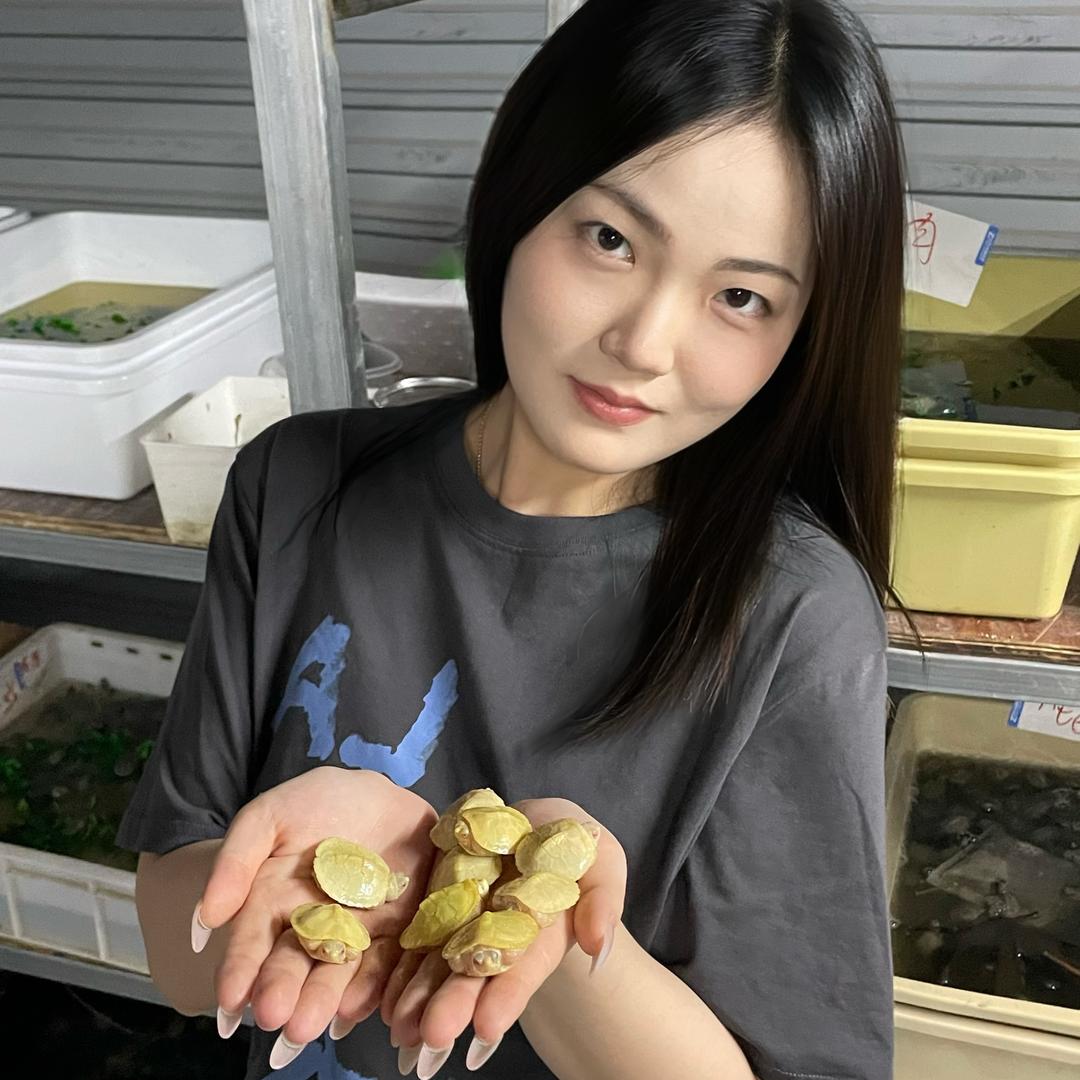 龙华蛛蛛爆宠物店