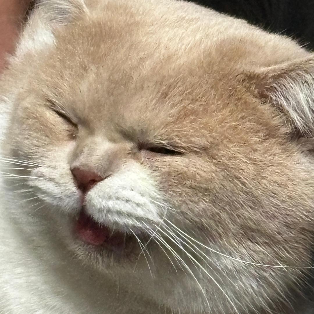 🌈憨憨又饿了☀️