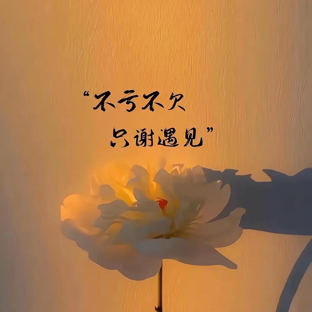 ᭄ঞ烈酒༊敬༊余生ঞ᭄༊