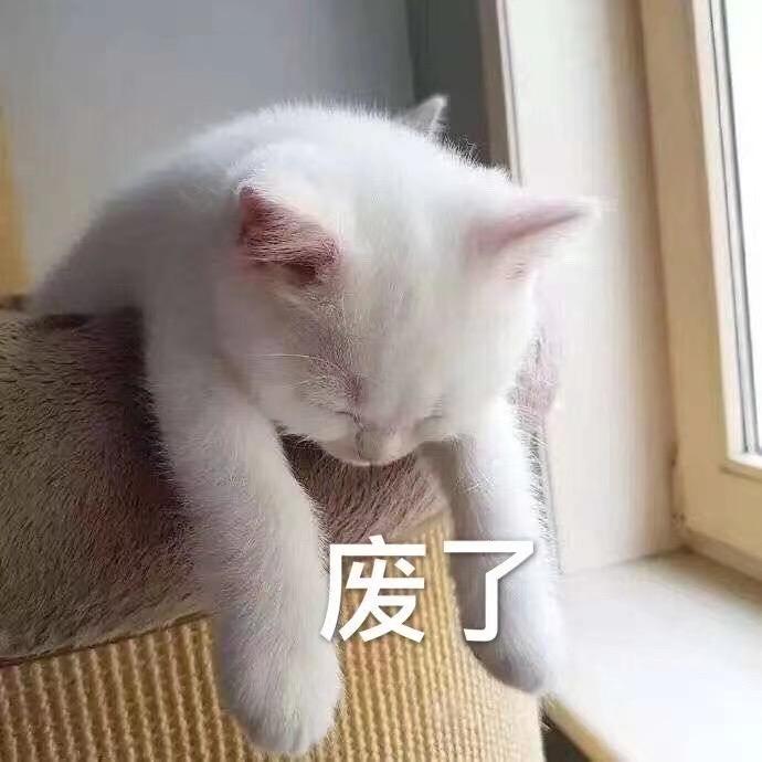 爱像风中沙