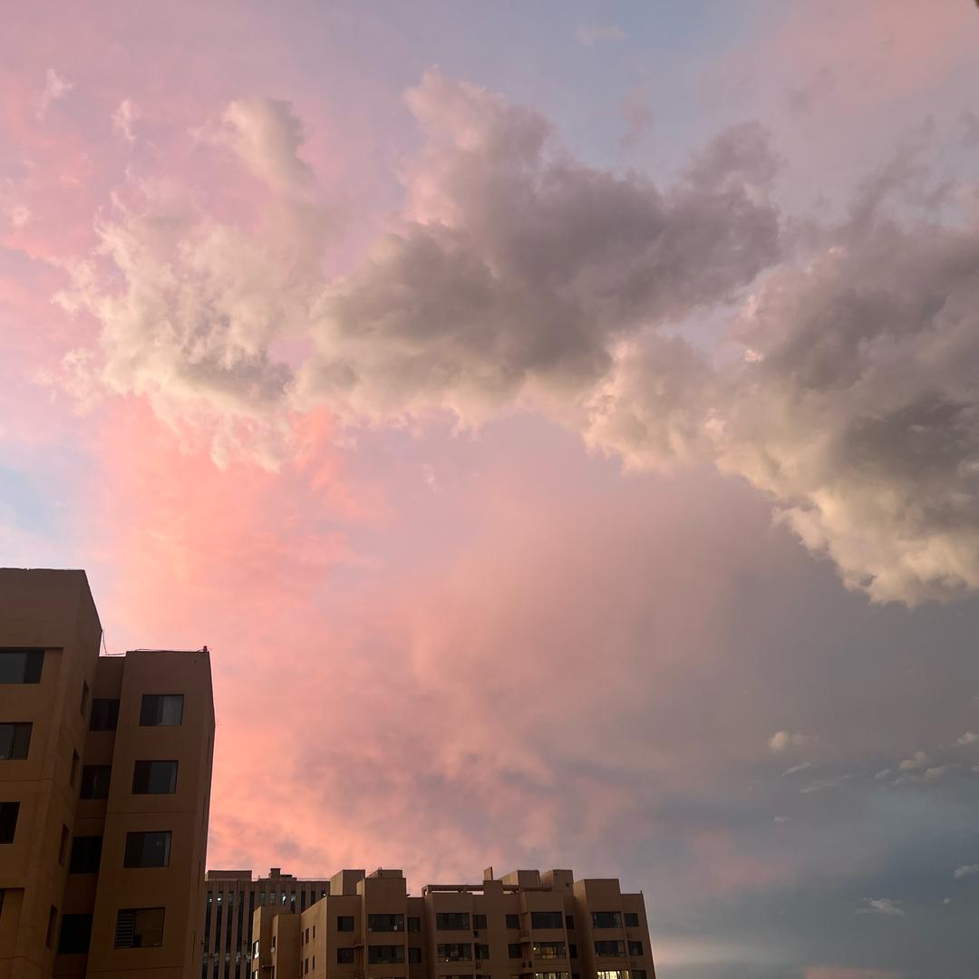 蛋黄是只猫！！