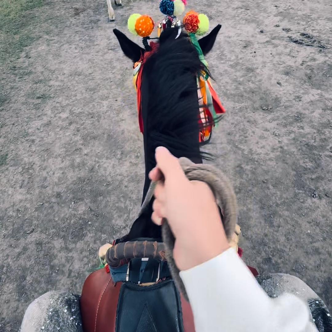 木林森户外装备