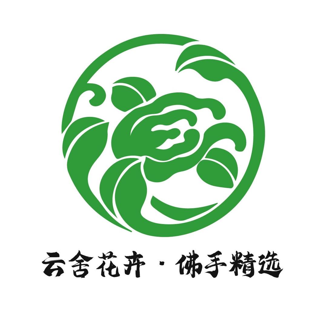云舍花卉佛手精选