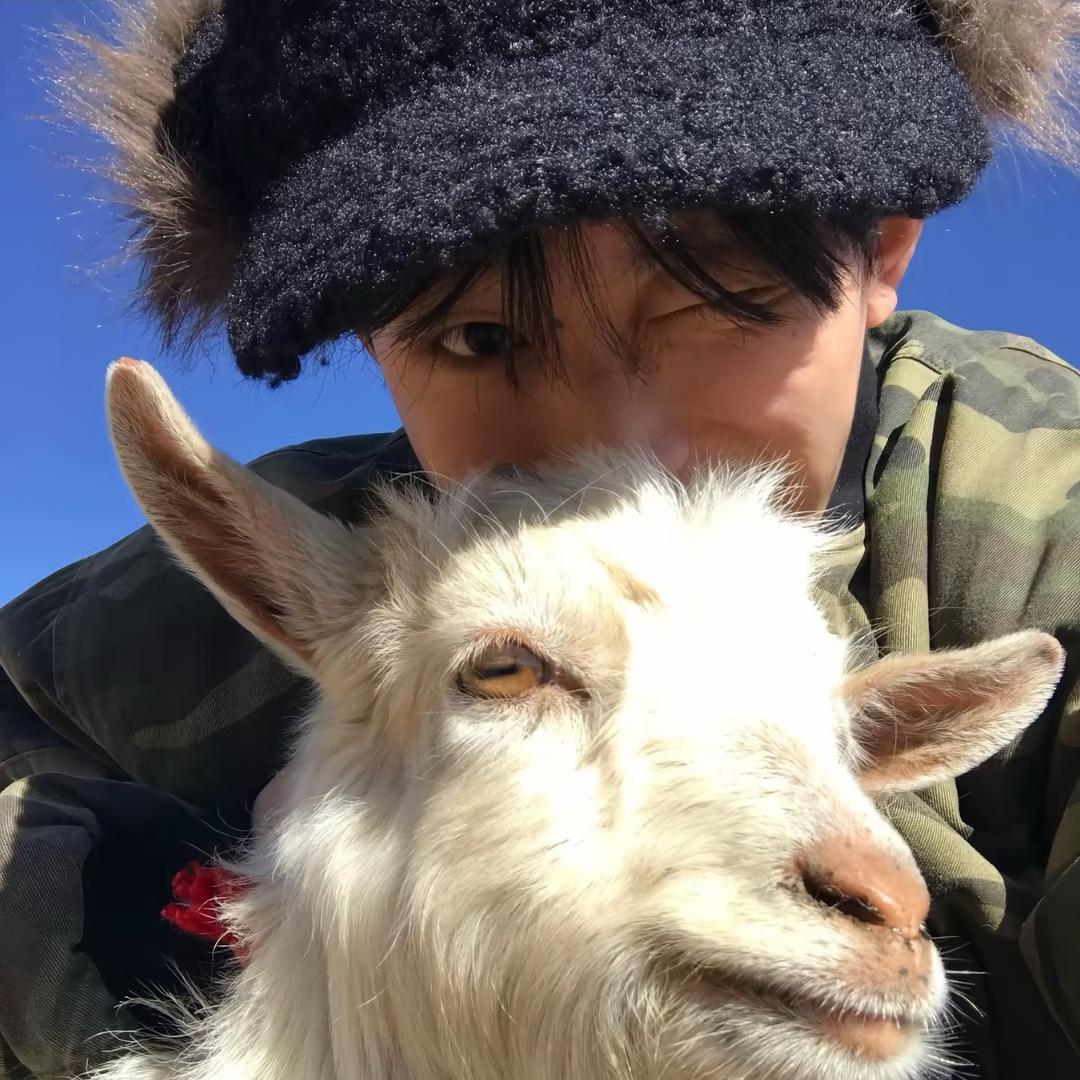 羊崽🐑（沉淀了）