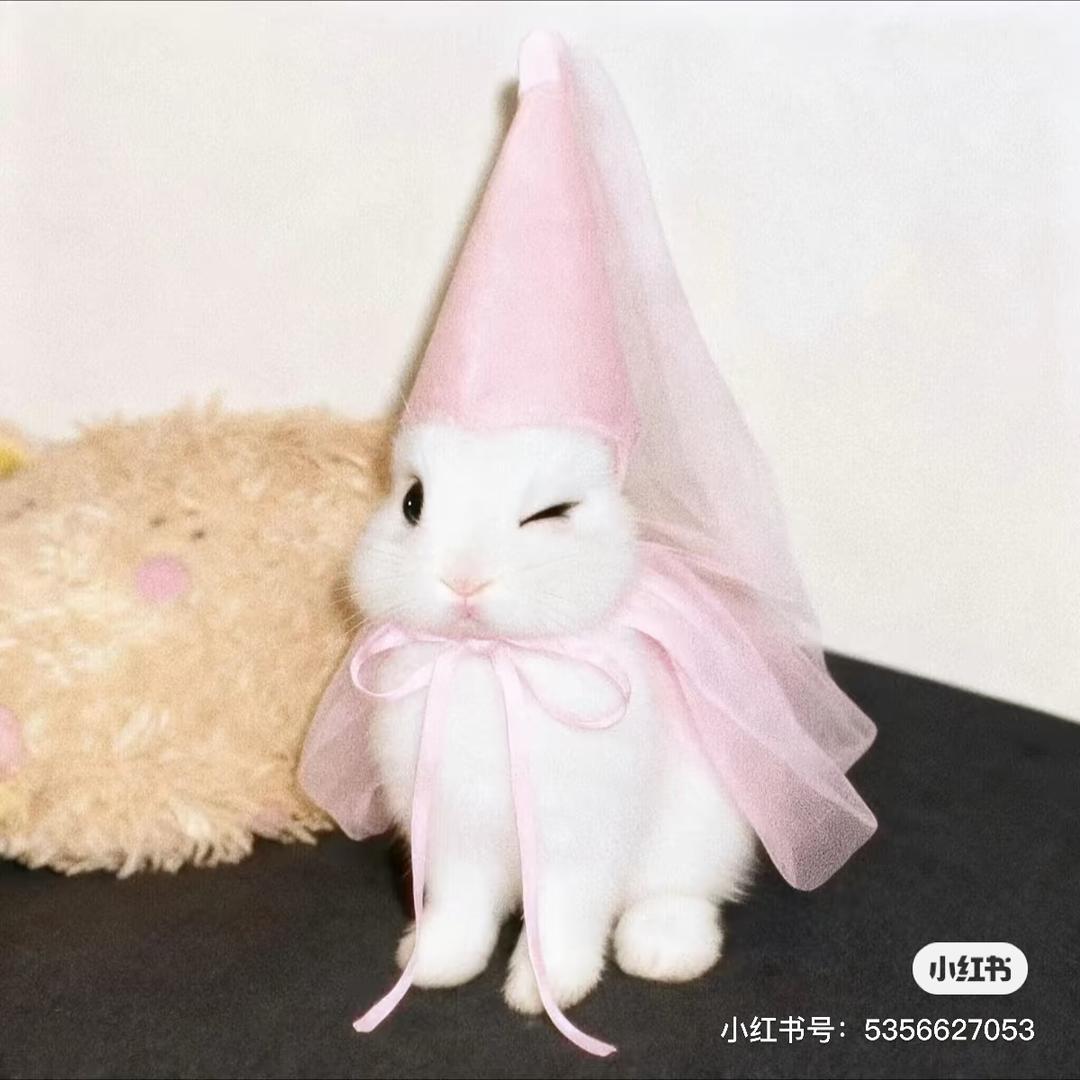 听起来很忧郁的女生网名