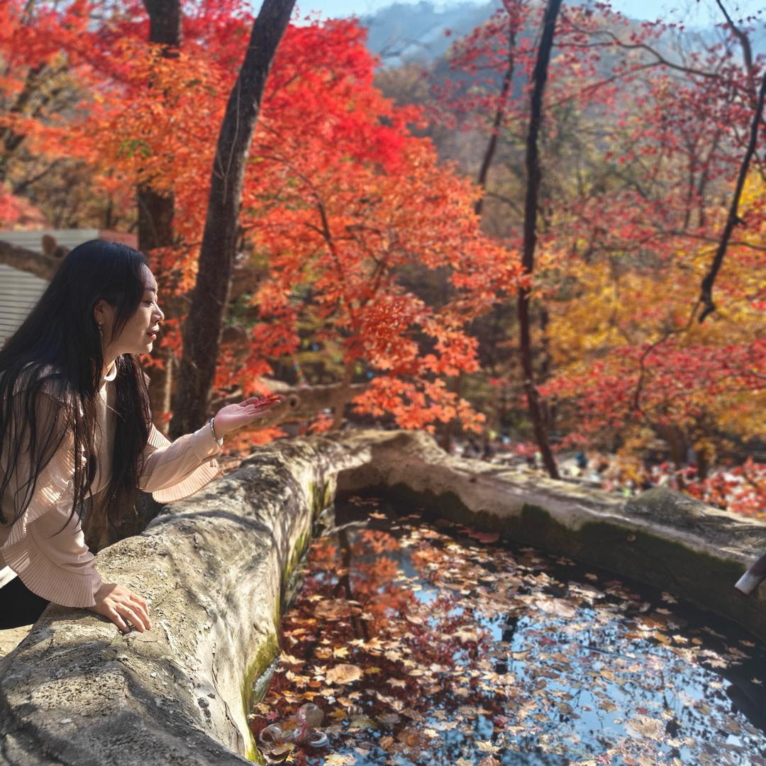 张饱饱