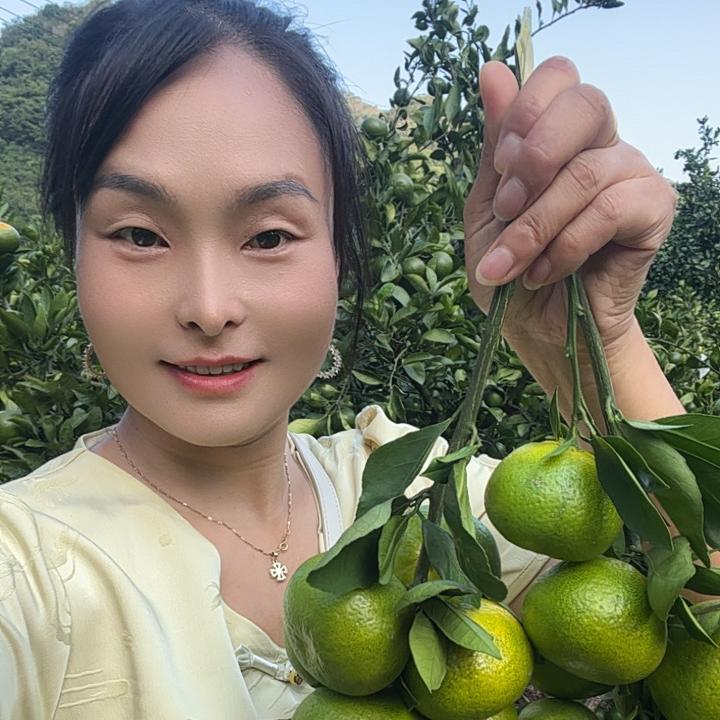 扬花顺农副产品店