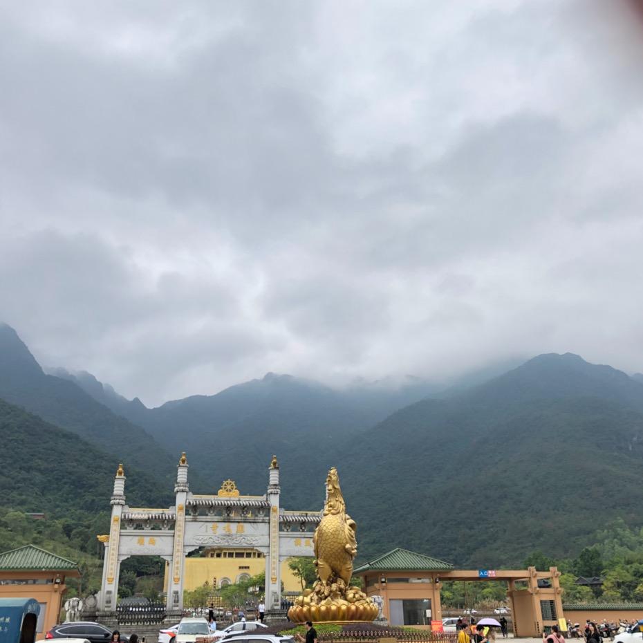 开朗的欧皇