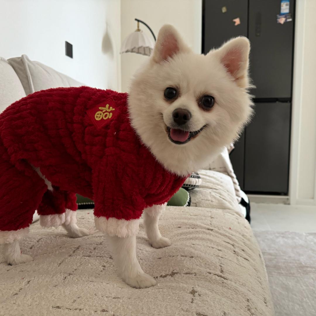小棒槌