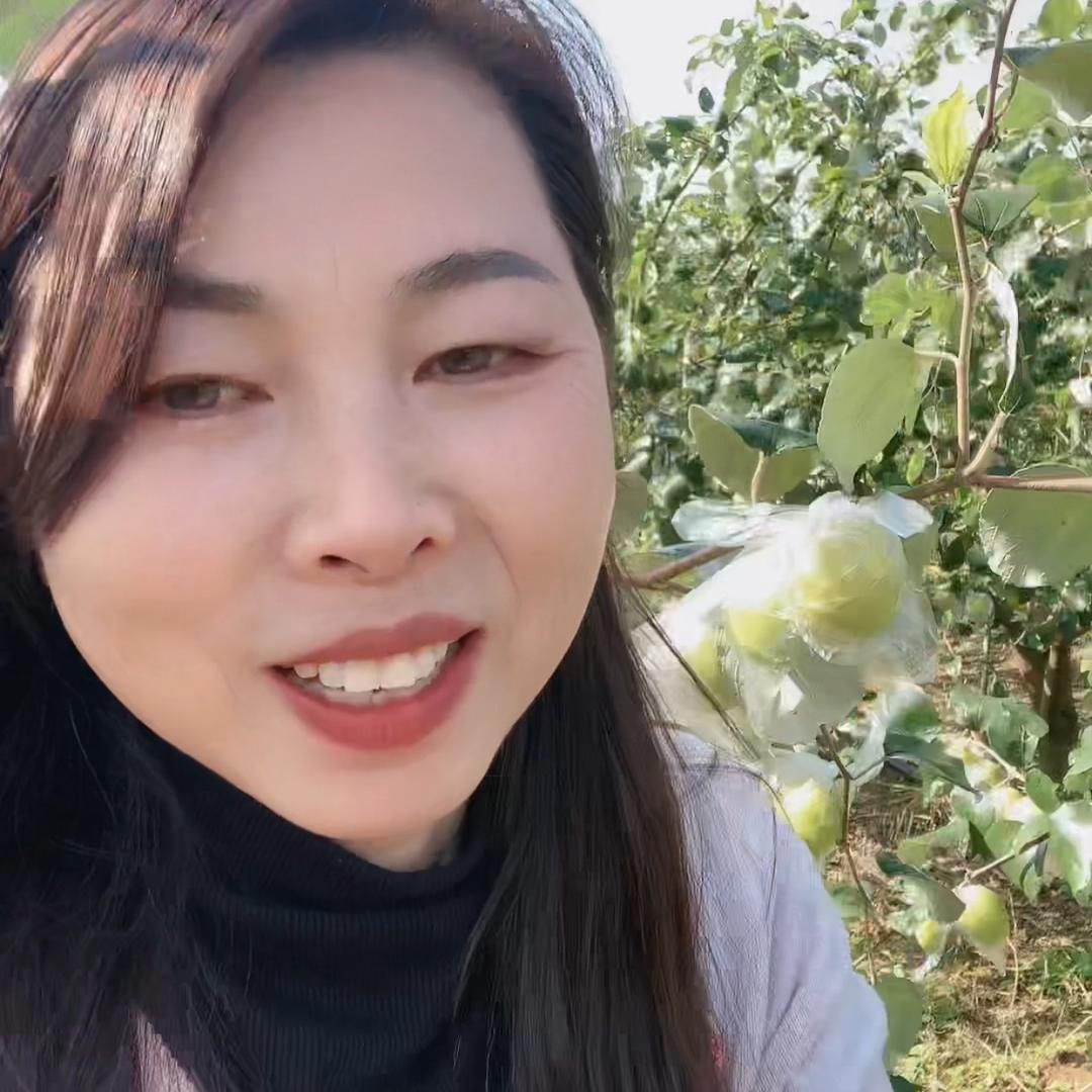 百合拍打操
