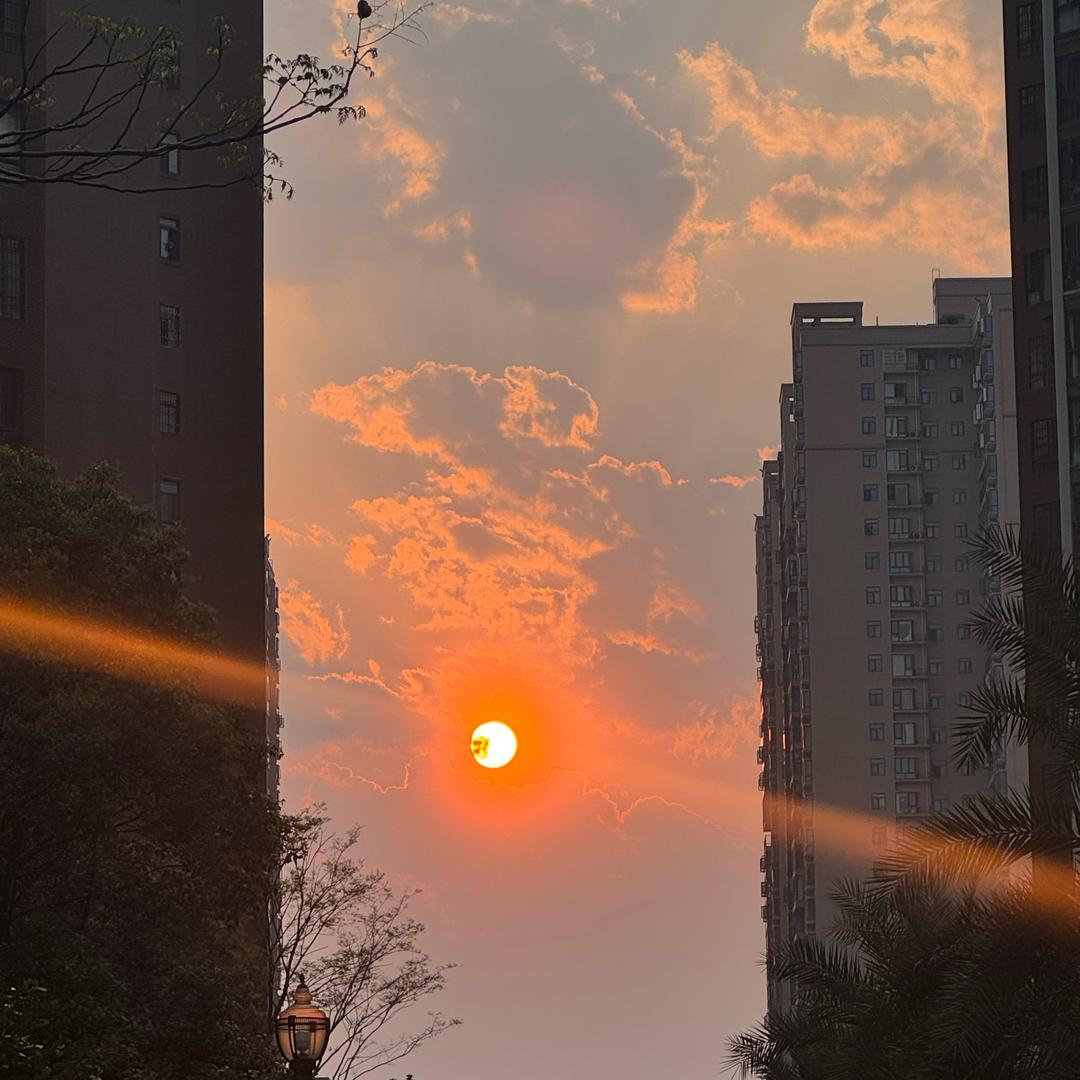 不容逸的小家🇨🇳