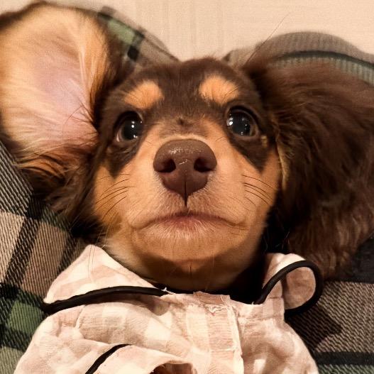 钱从四面八方来