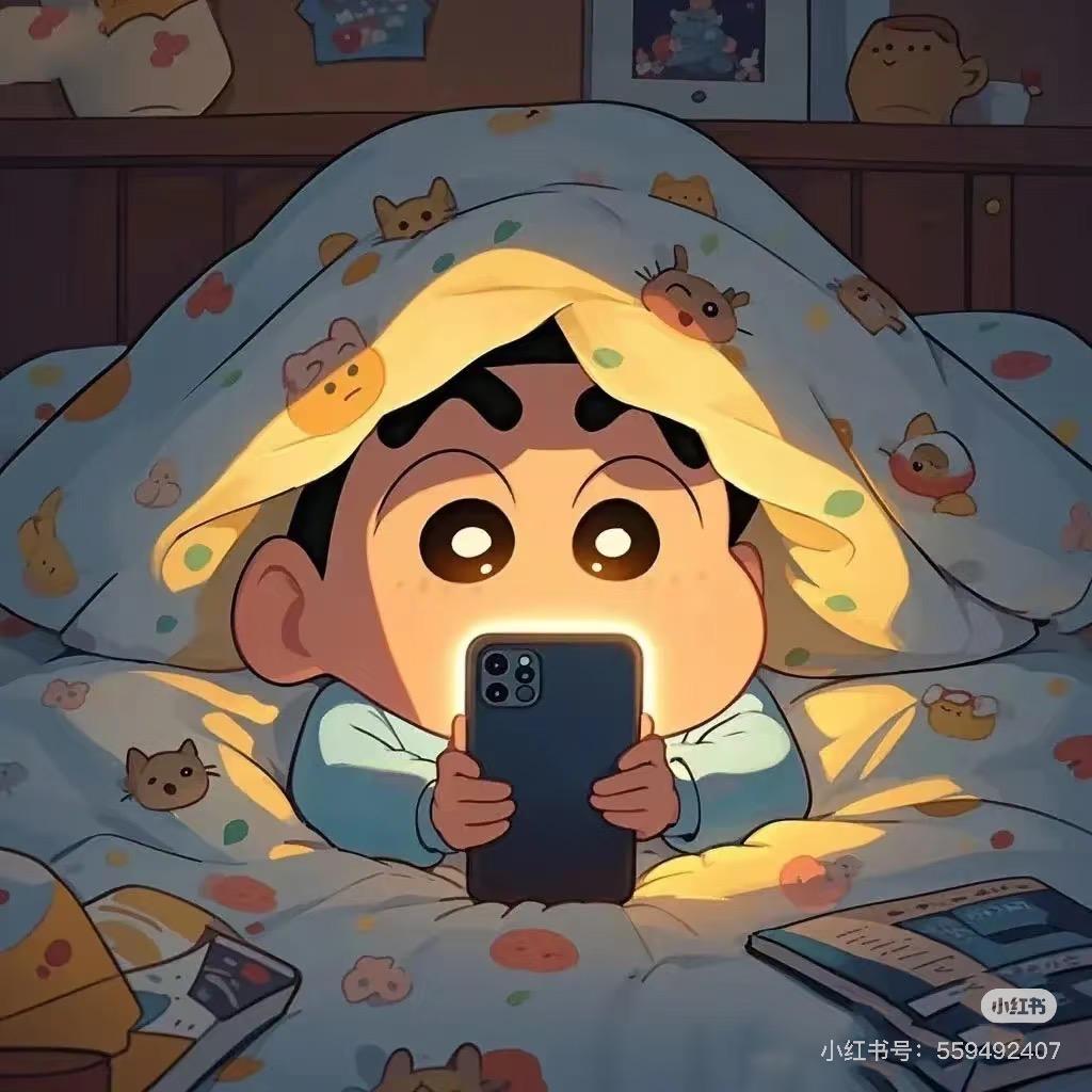 蜡笔小新🧸