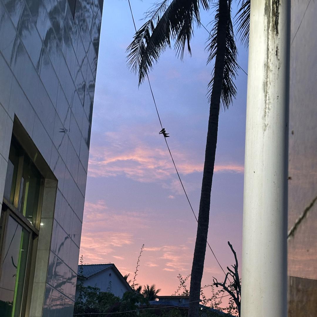 刘星宇（三角洲行动）