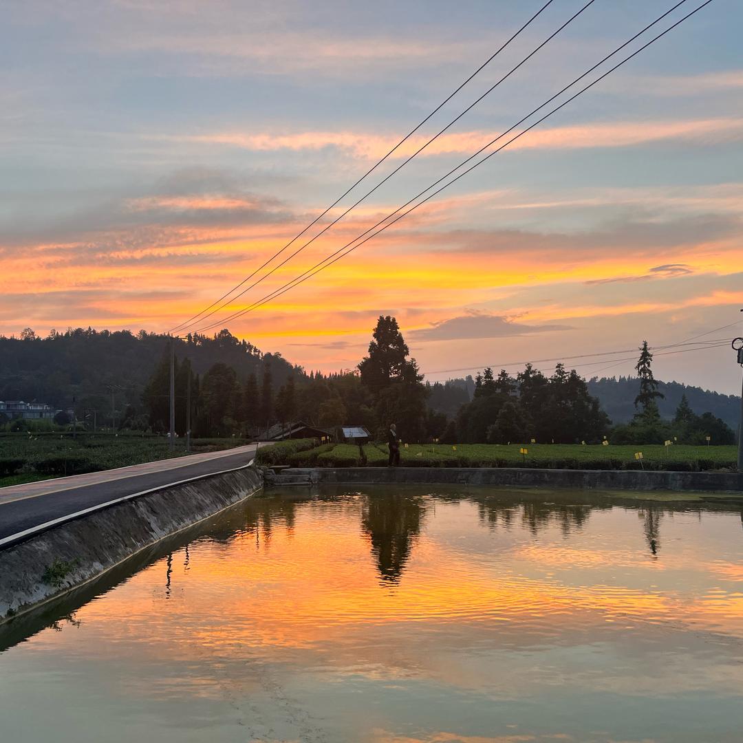 我想女人应该高傲的生活