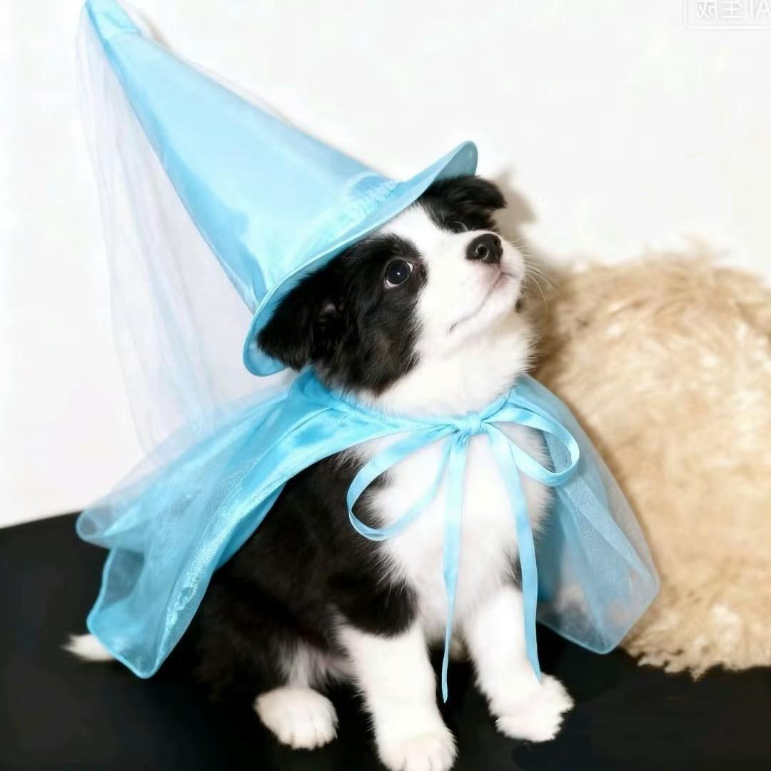 Percy