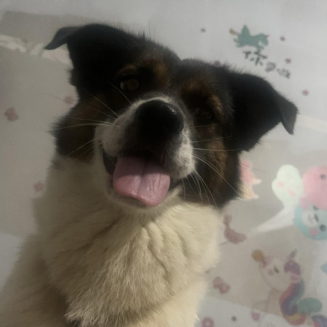 不是   哥们儿