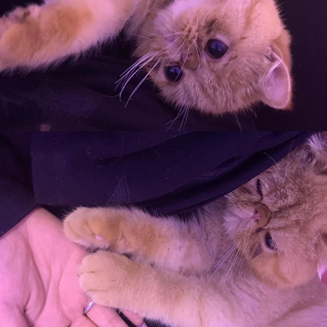 可开心啦🧚🏻‍♀️