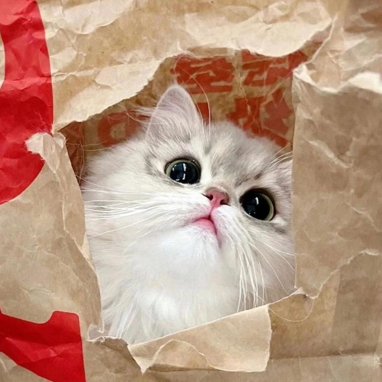 C…