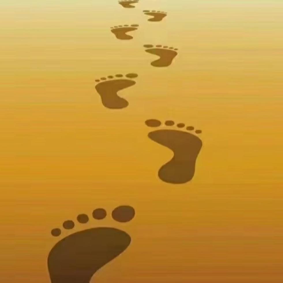 关于芳(胡闹版)