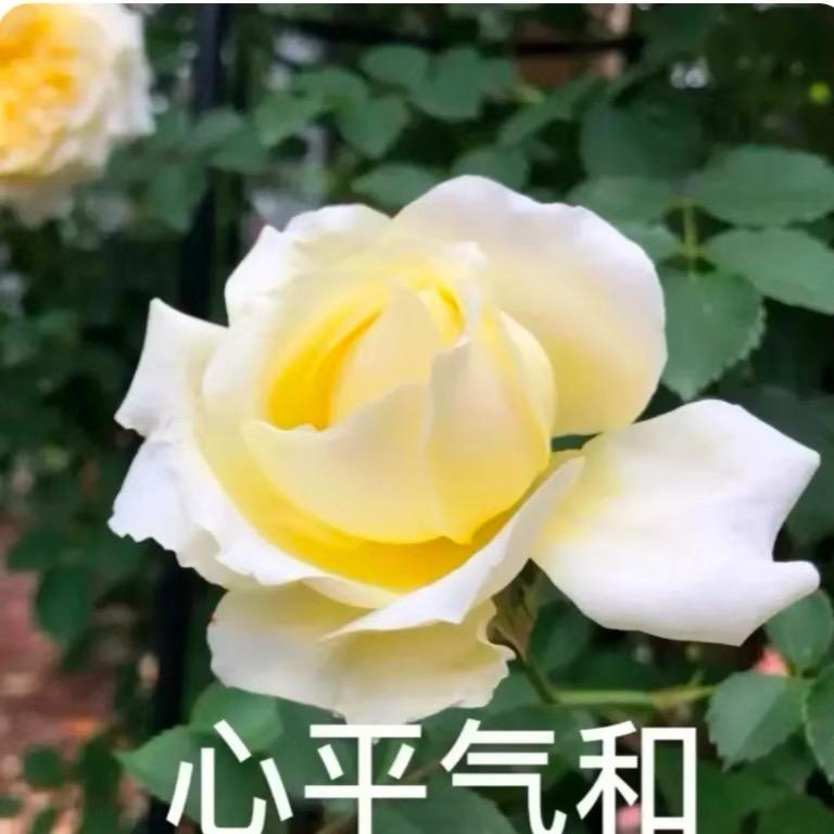 赵老师的食方分享