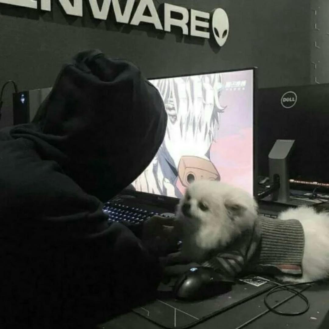 别烦