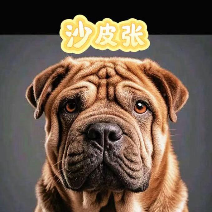 老张的神奇副业