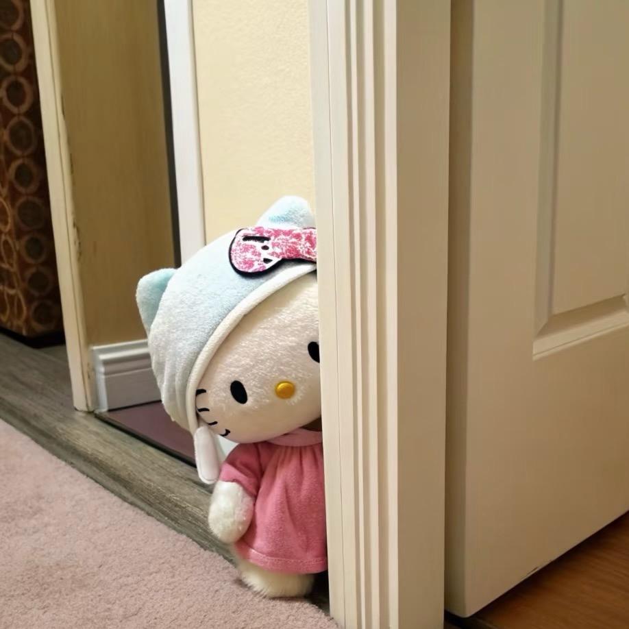 猫猫