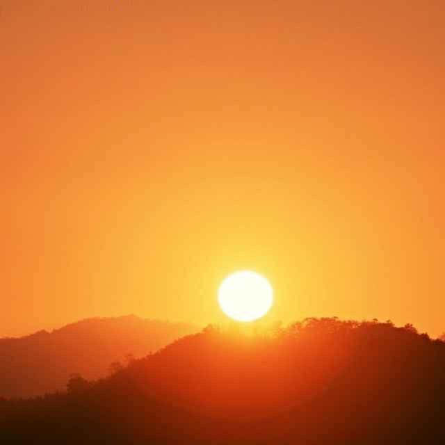 红尘看日出