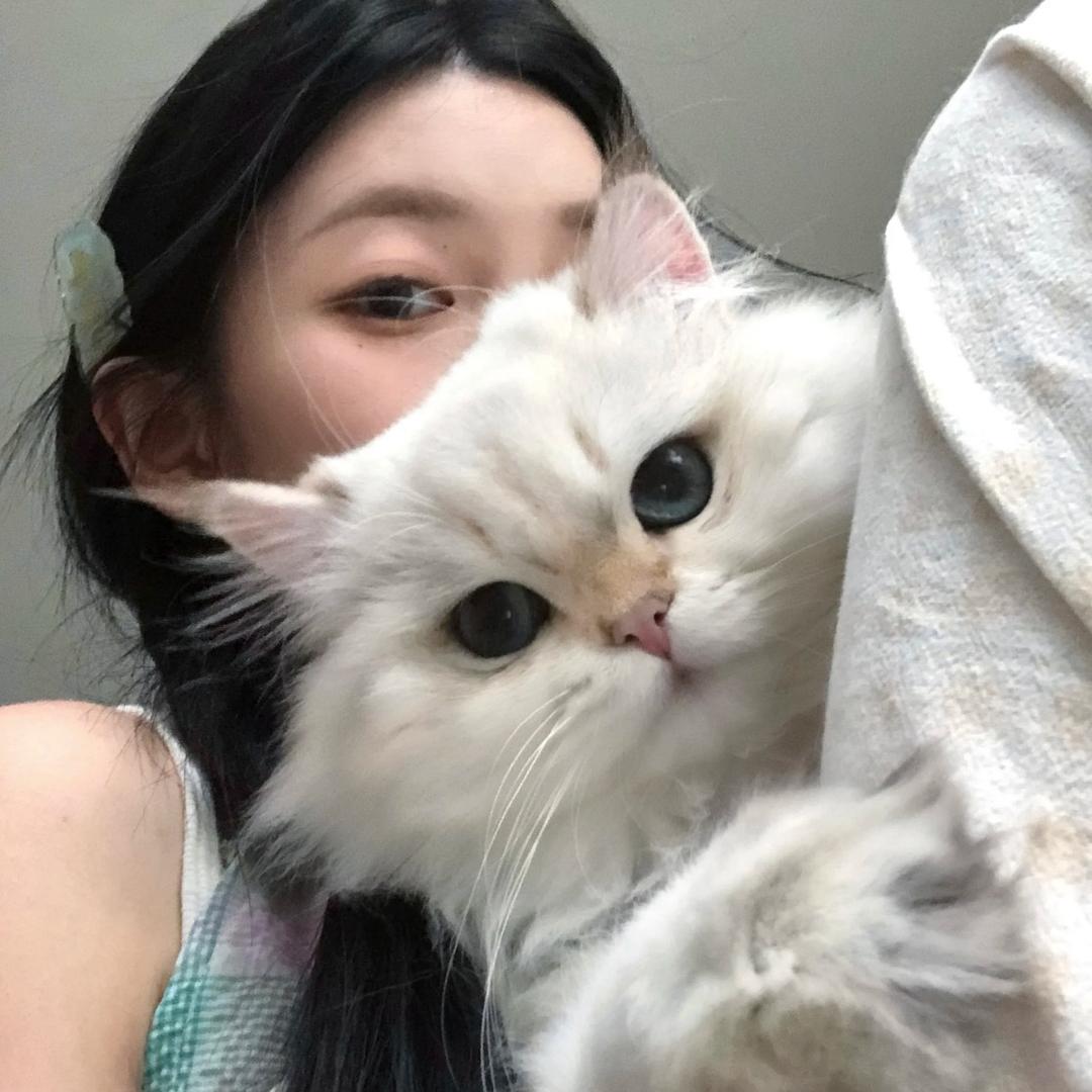 稲子不迟到