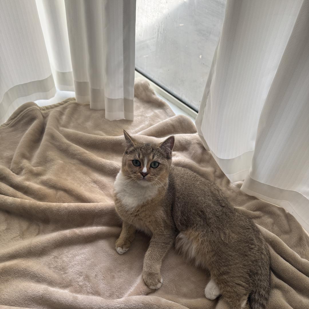 心萱～妖怪金手指