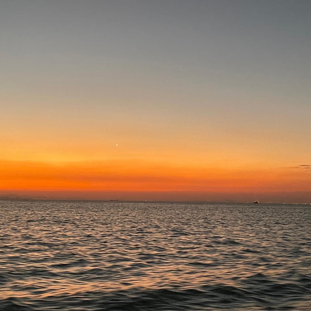 知进退，明得失