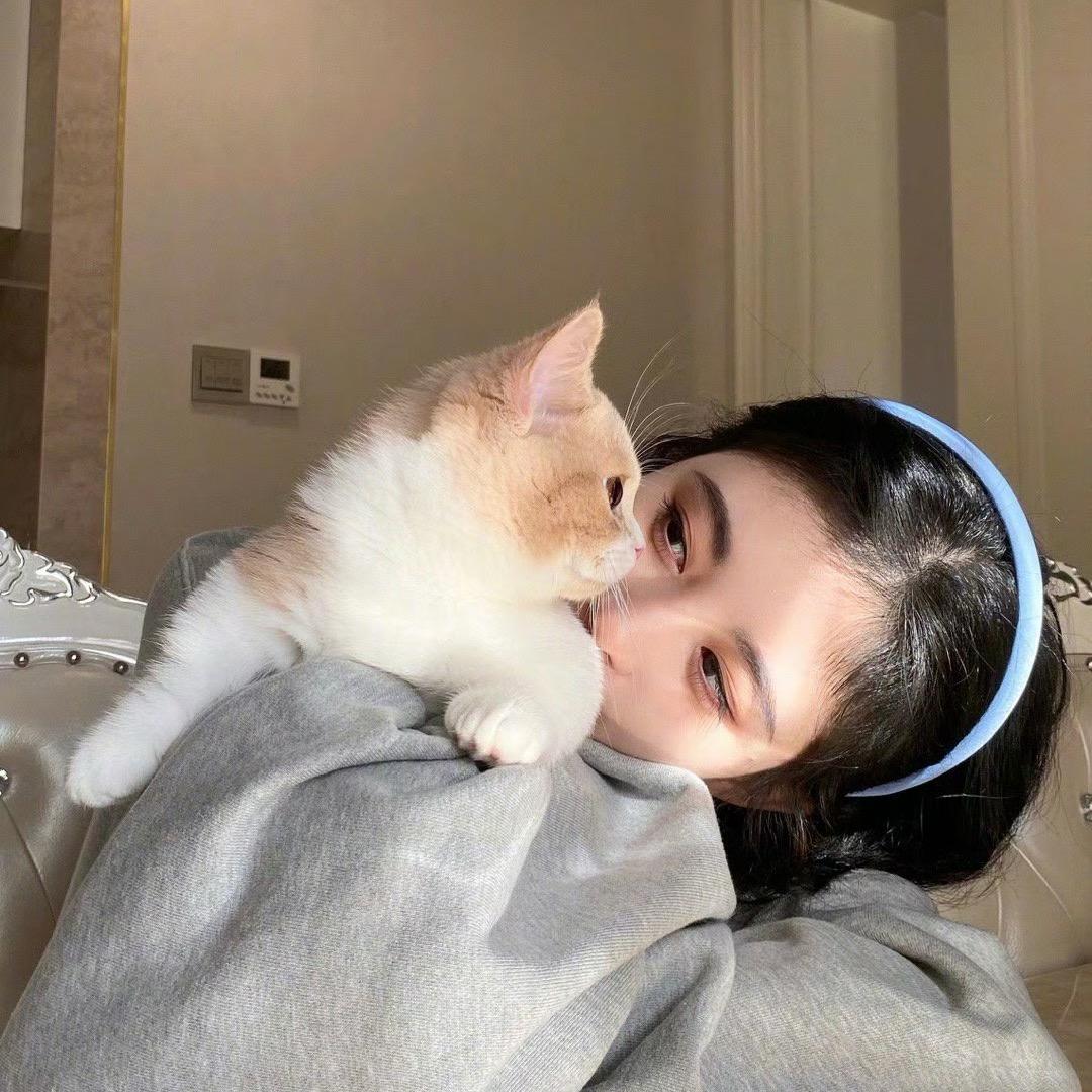 一颗杏儿