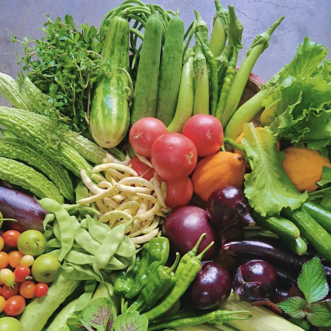 汇泽种子经营部