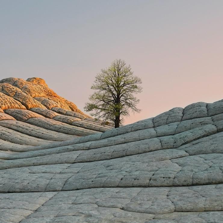 李哈哈社区火锅官方号