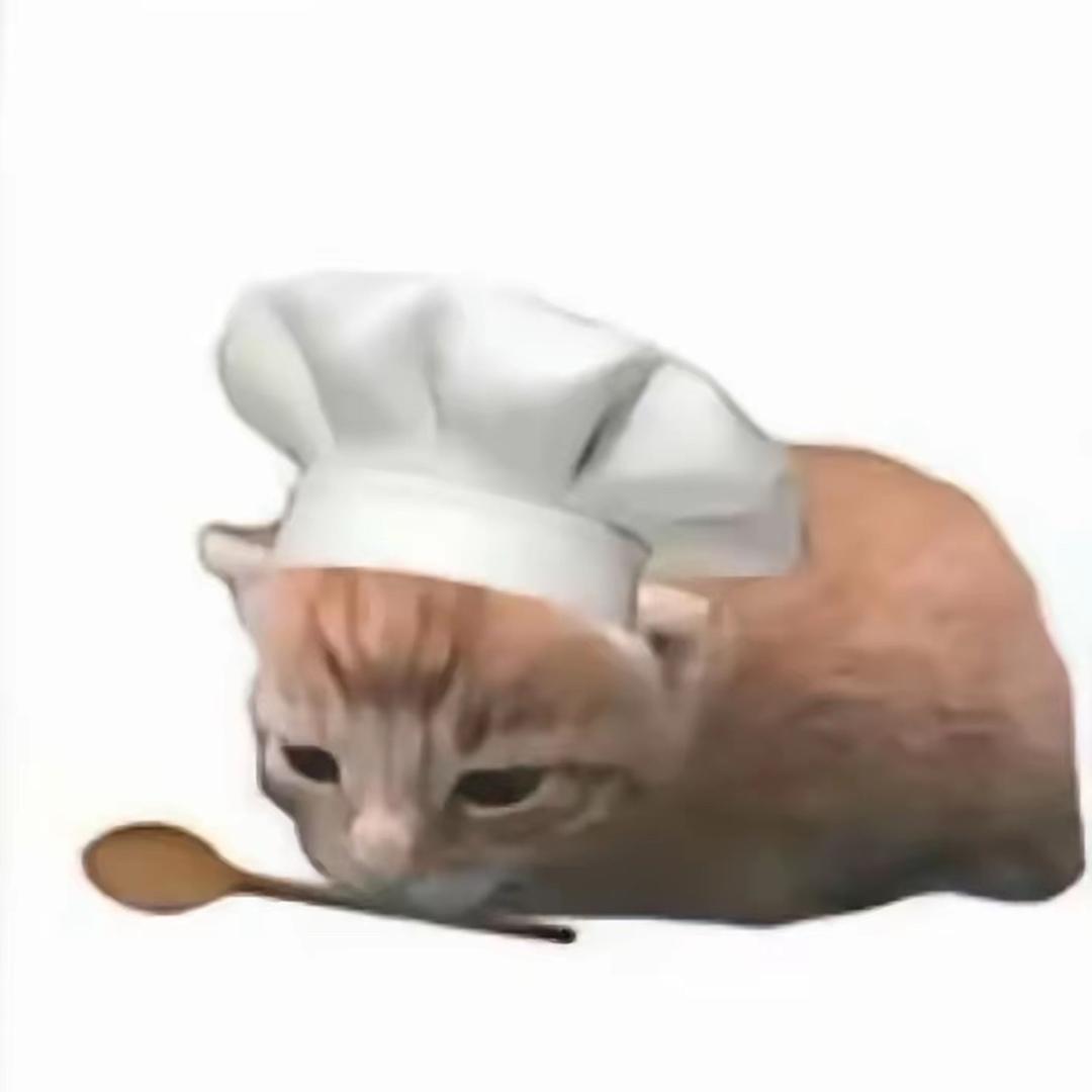 卷个小猫👾