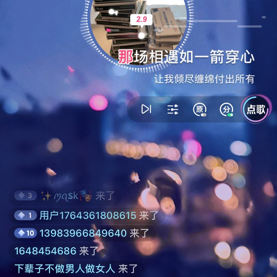 不老青松黄青松