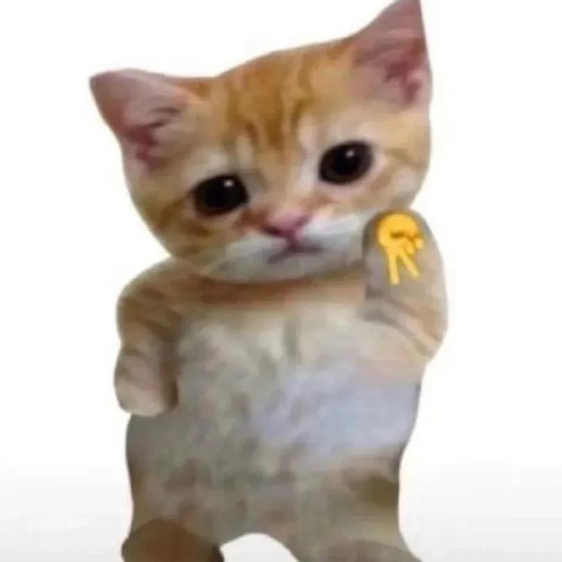 😼