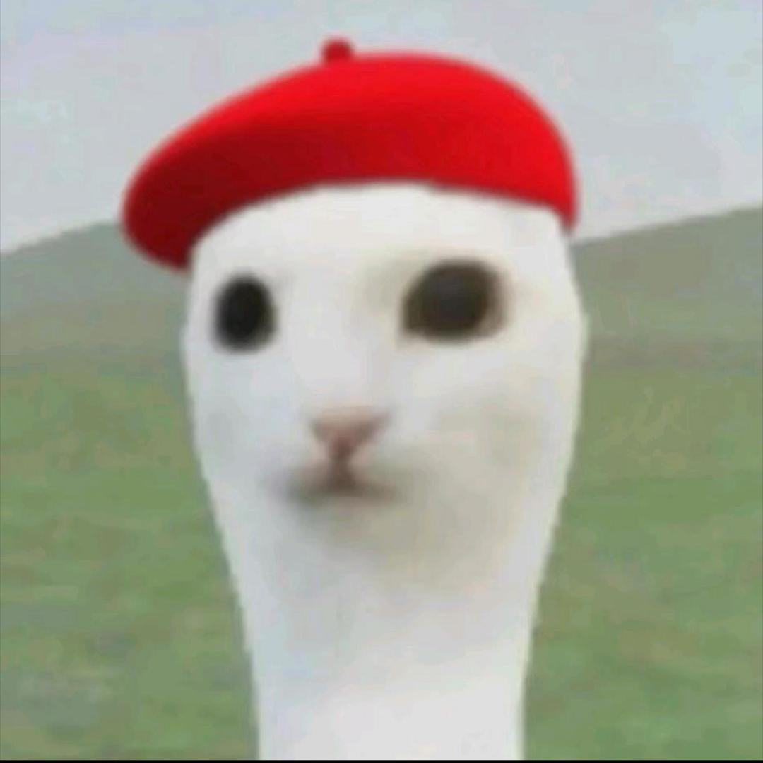 补丁的大凶兆
