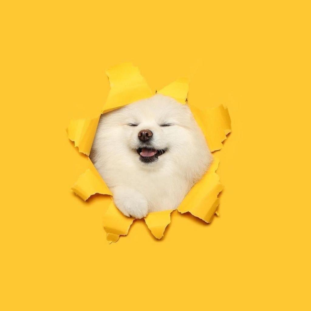易辰哥哥