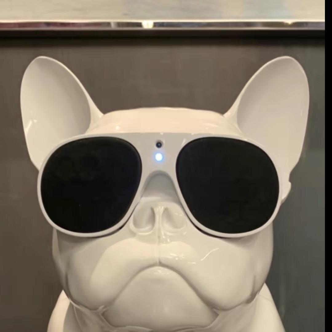 🌈爱吃甜甜圈的bobby🐶