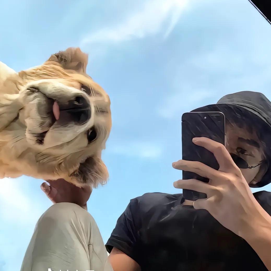 偷捧时间煮酒喝