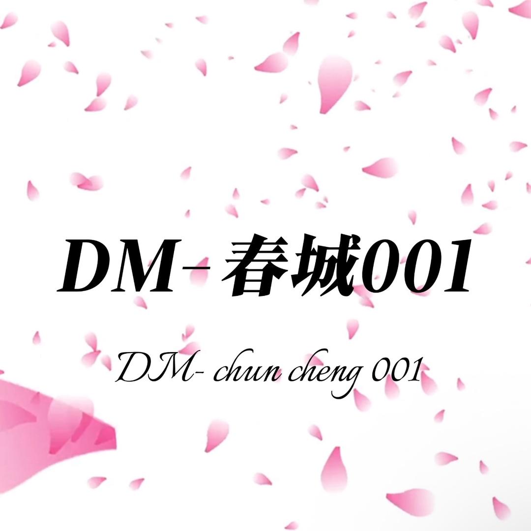 达摩-DM春城001
