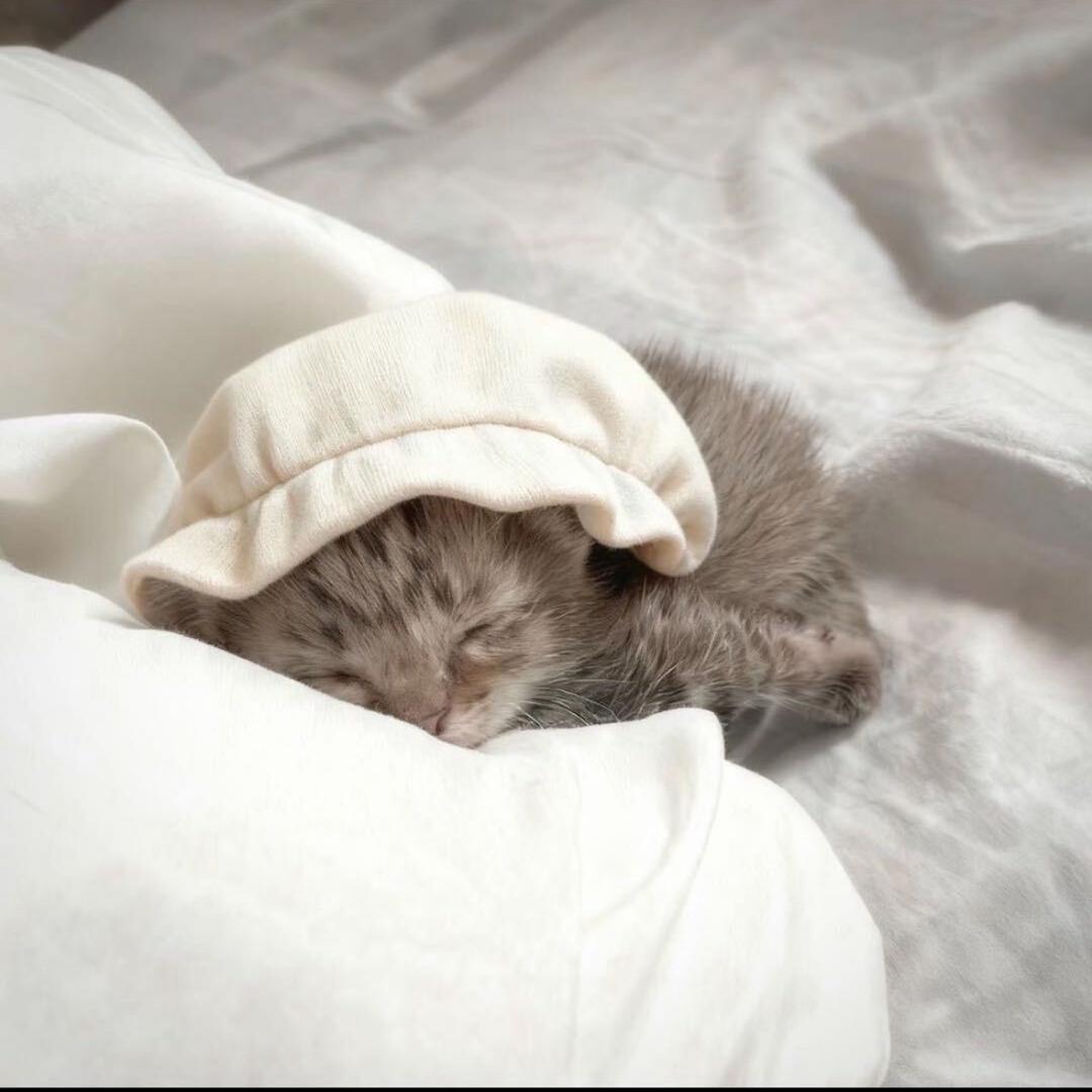 meyou.