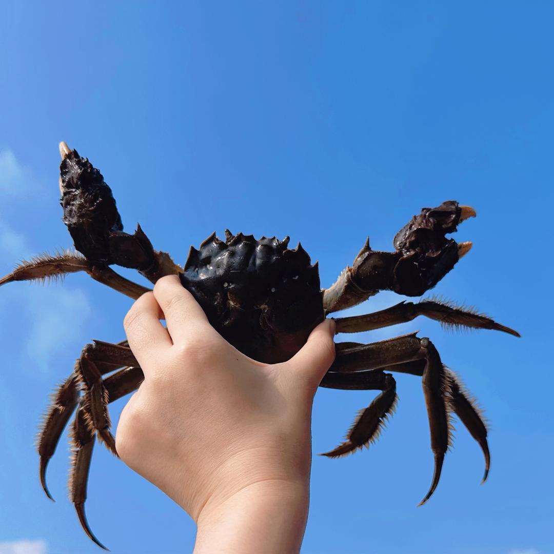 江苏山山蟹业源头