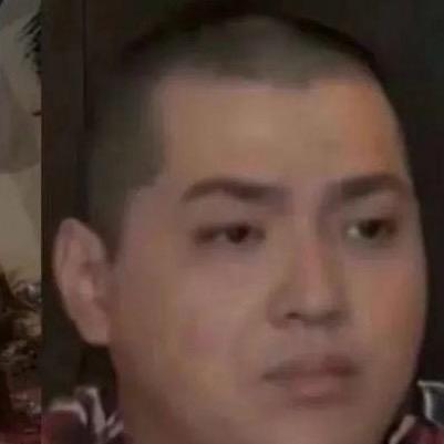 诺诺鱼