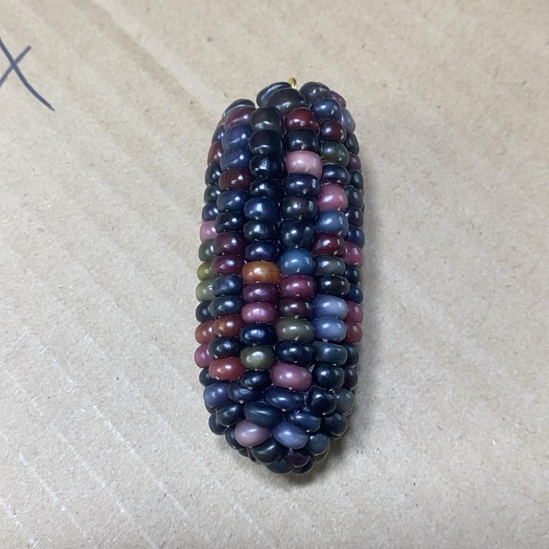 娜娜娜臻选玉米