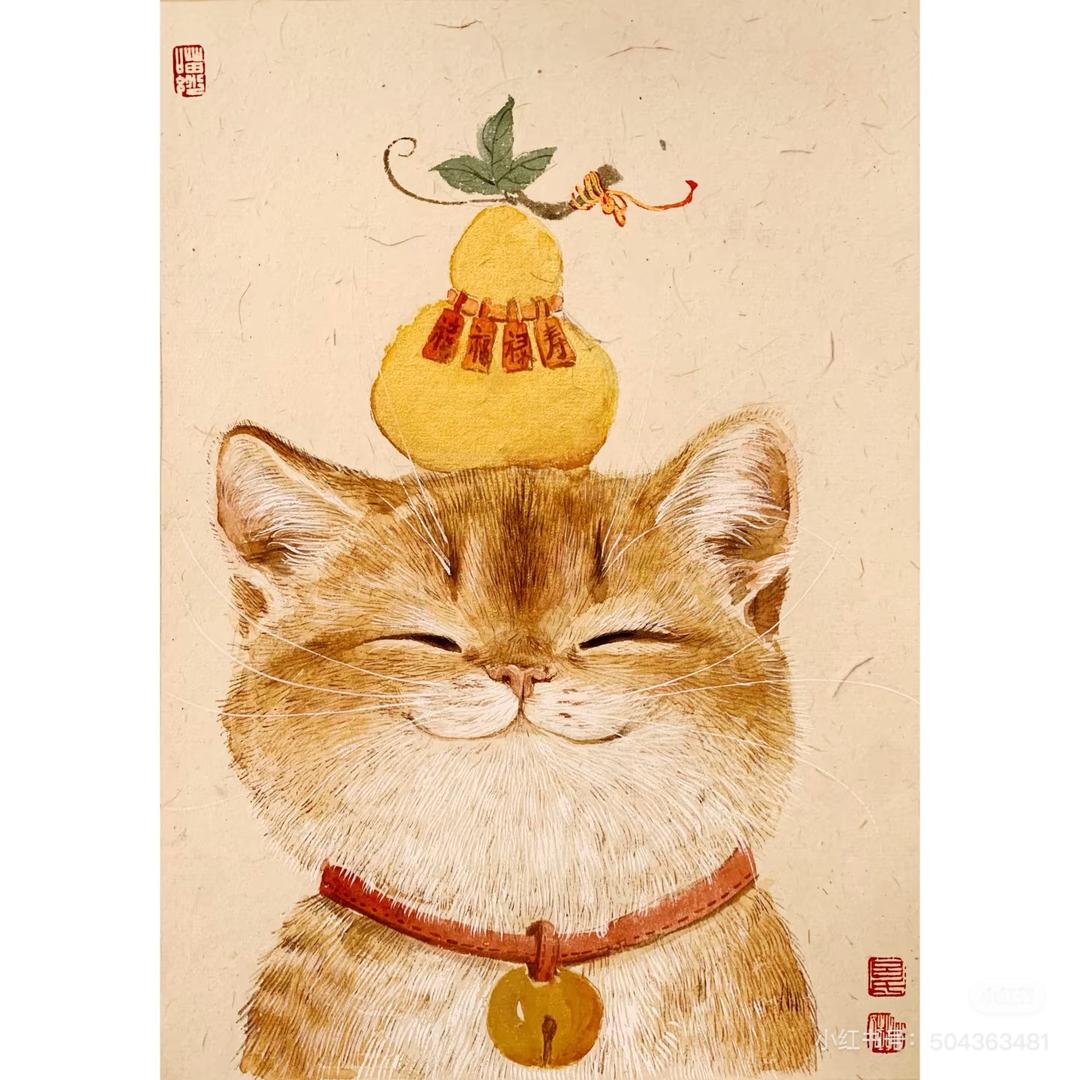 金金爱分享
