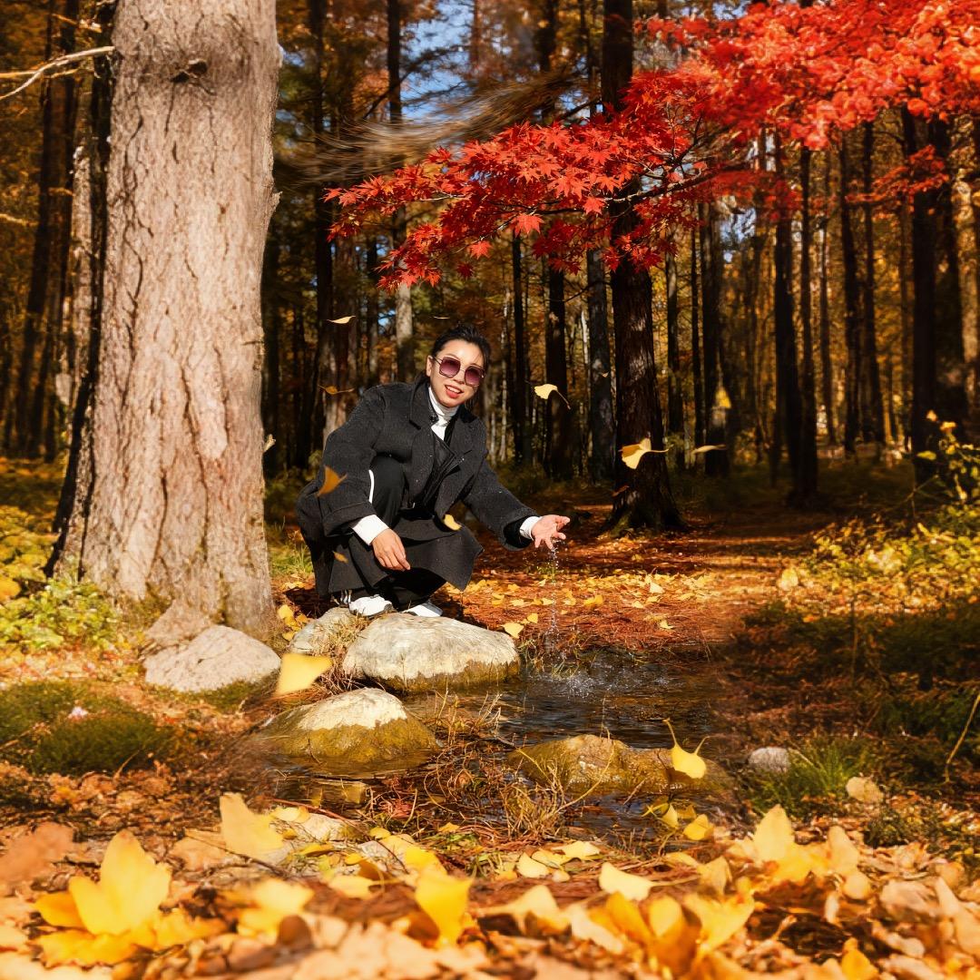 泰山特产九品贡