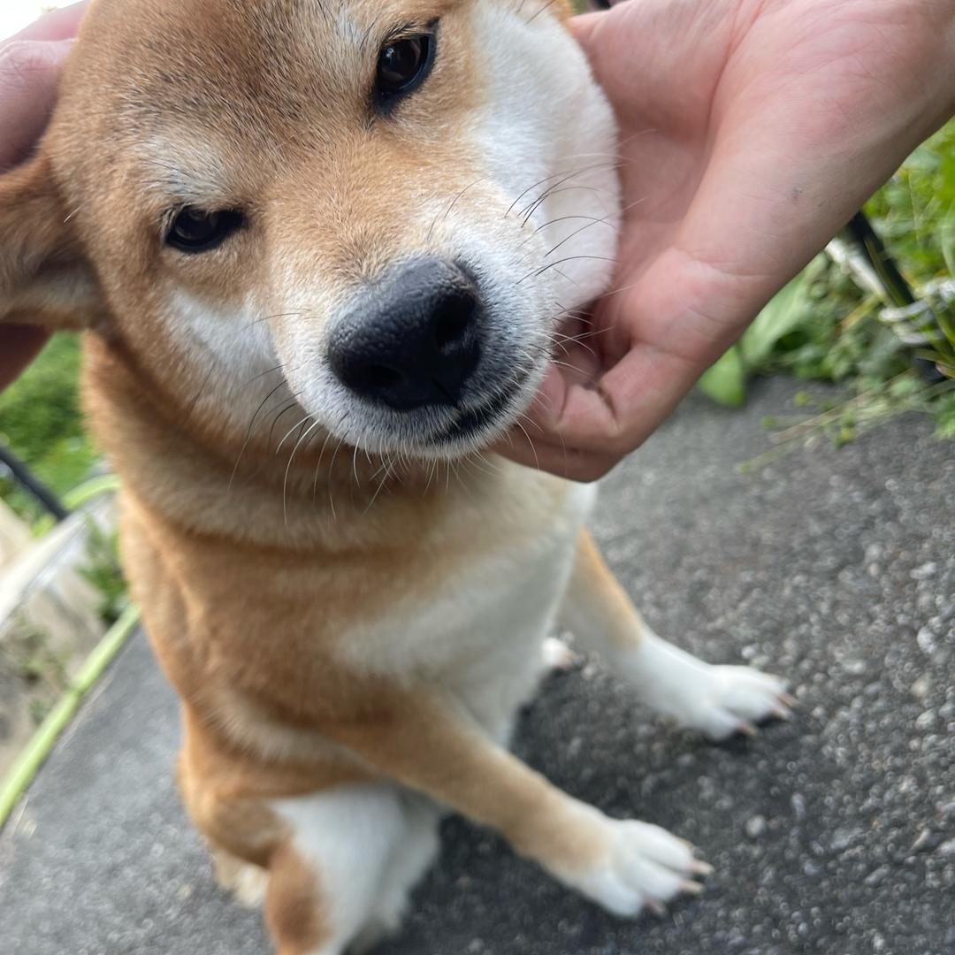 TH